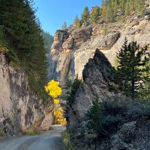 Meet your Posher, Molly